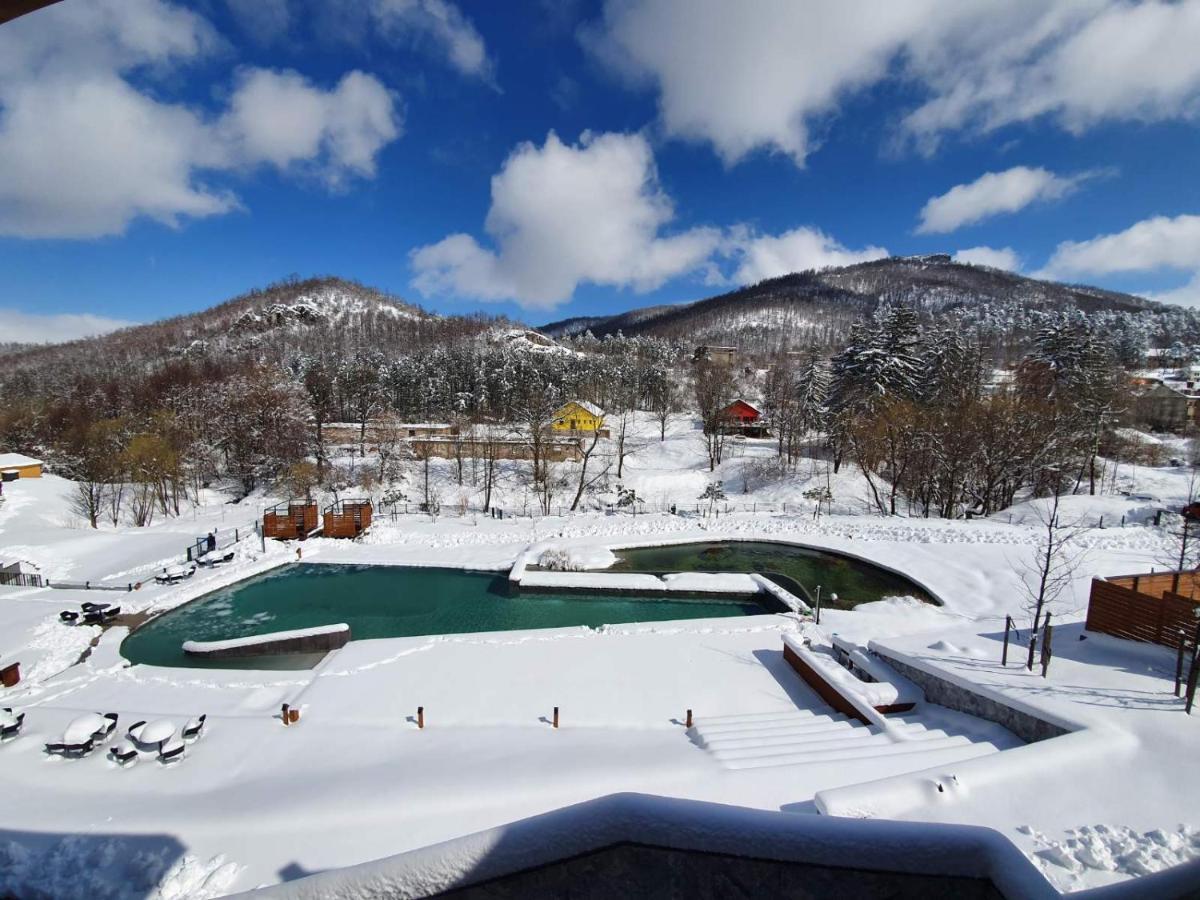 Hotel Ramonda Boljevac Екстериор снимка